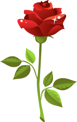 Red rose clipart png