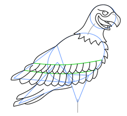 Draw a Cartoon Eagle