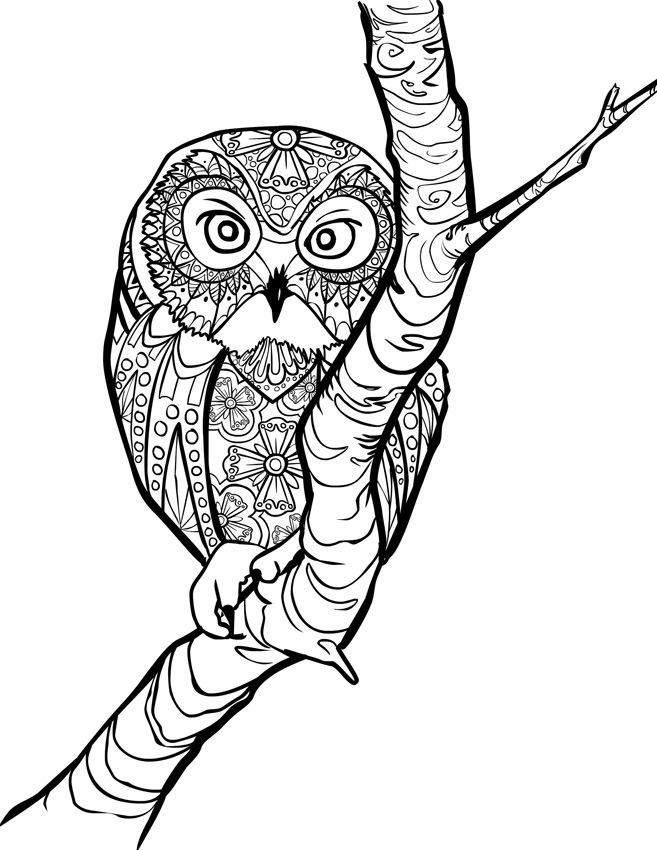 528 views 1000+ images about â?Zentangles ~ Adult Colouring