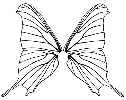 Butterfly Wings Clip Art - ClipArt Best