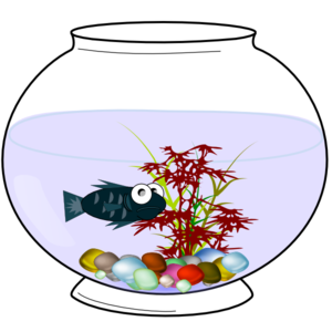 Cartoon Fish Bowl
