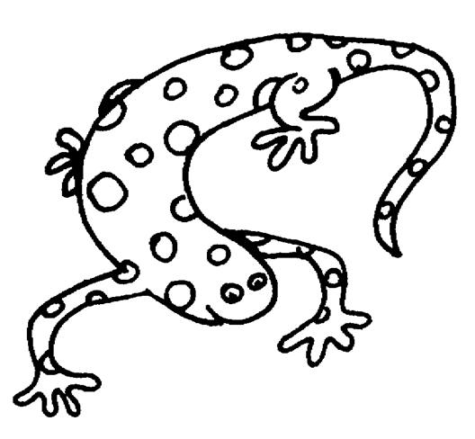 clipart line drawings animals - photo #28