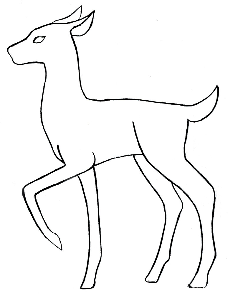 Outline Drawings Of Animals