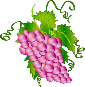 Grapes clip art - vector clip art online, royalty free & public domain