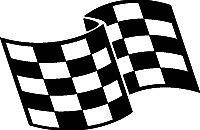 42 checkered flag decals car in Car & Truck Parts