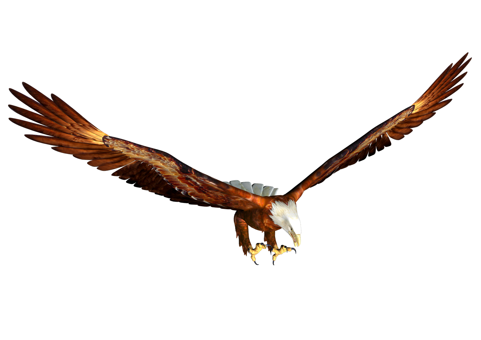 clipart picture of an eagle - photo #33