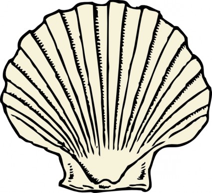 Scallop Shell clip art Vector clip art - Free vector for free download