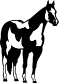 Mega Collection | Horse Breeds and Rodeo - Lanie Frick (Vector Art ...