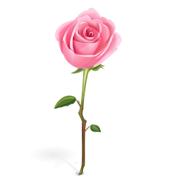 Pink Rose With Stem Icon, PNG ClipArt Image