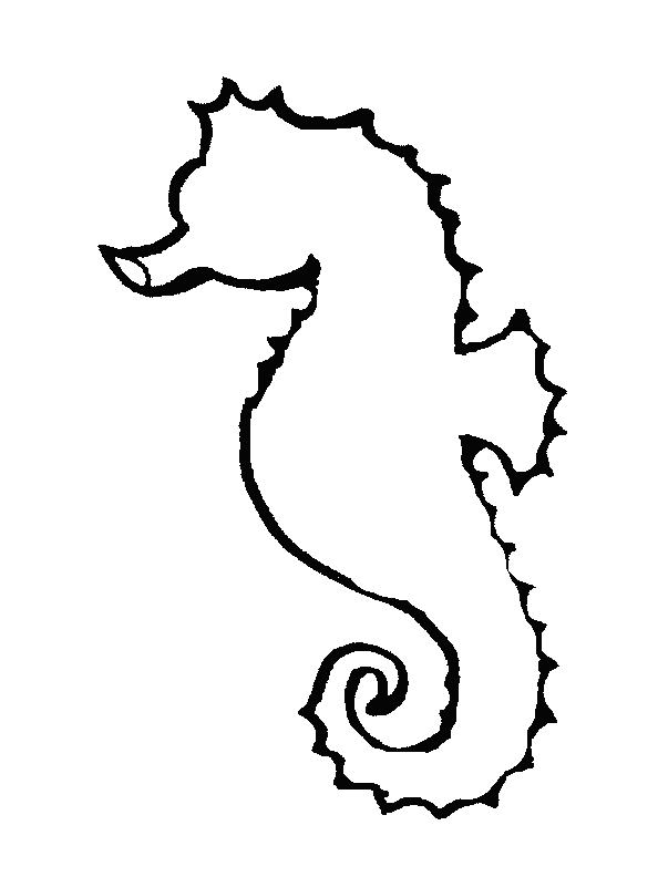 Seahorse Outline | Coloring pages, Coloring pages for kids ...