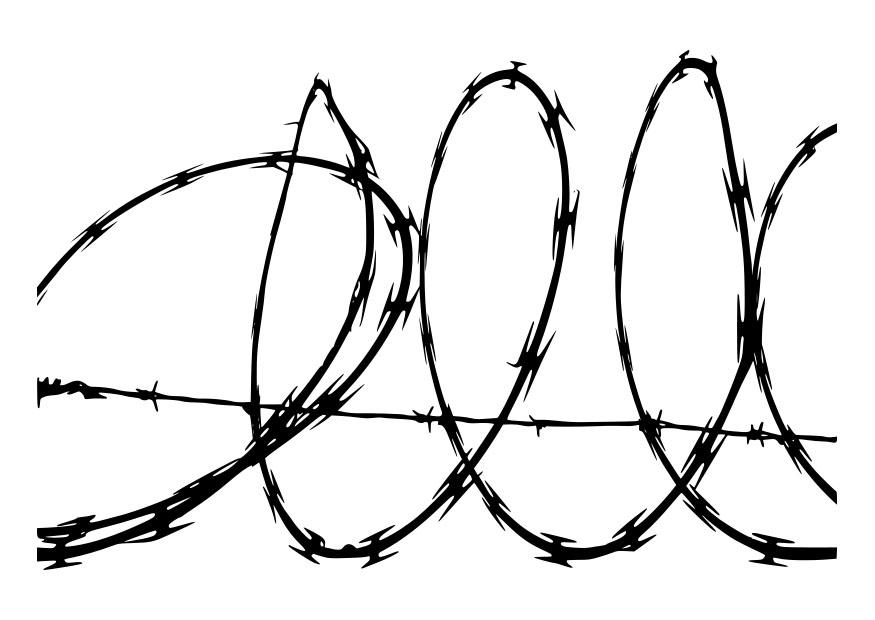 Barbed wire drawing.