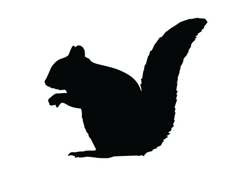 Best Squirrel Silhouette #7582 - Clipartion.com