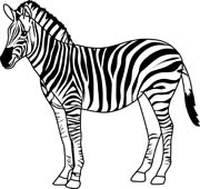Zebra outline clipart