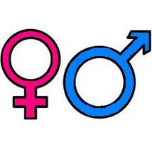 Boy And Girl Gender Signs Clipart - Free to use Clip Art Resource