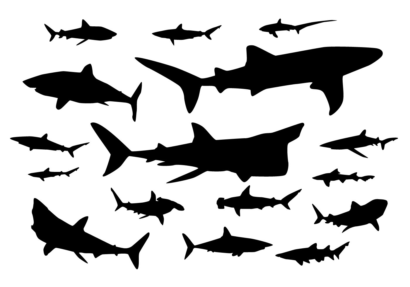 Shark Free Vector Art - (1381 Free Downloads)