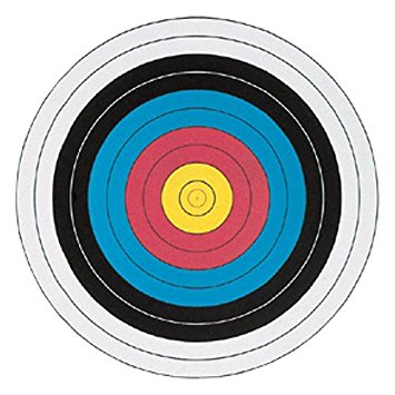 Amazon.com : Maple Leaf Fita Official 10 Ring Targets - 17" X 17 ...