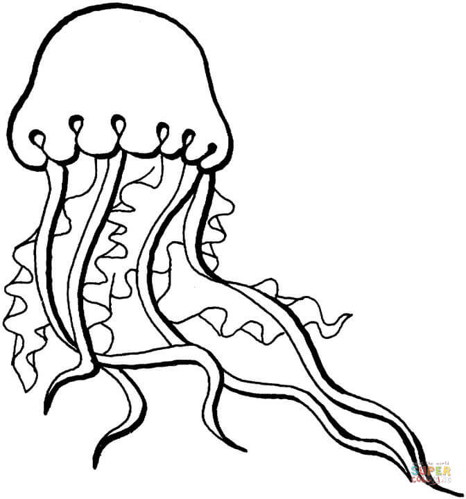 Jellyfish coloring pages | Free Coloring Pages
