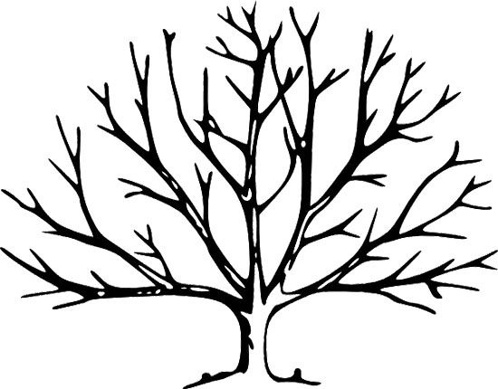 Clipart bare tree without leaves