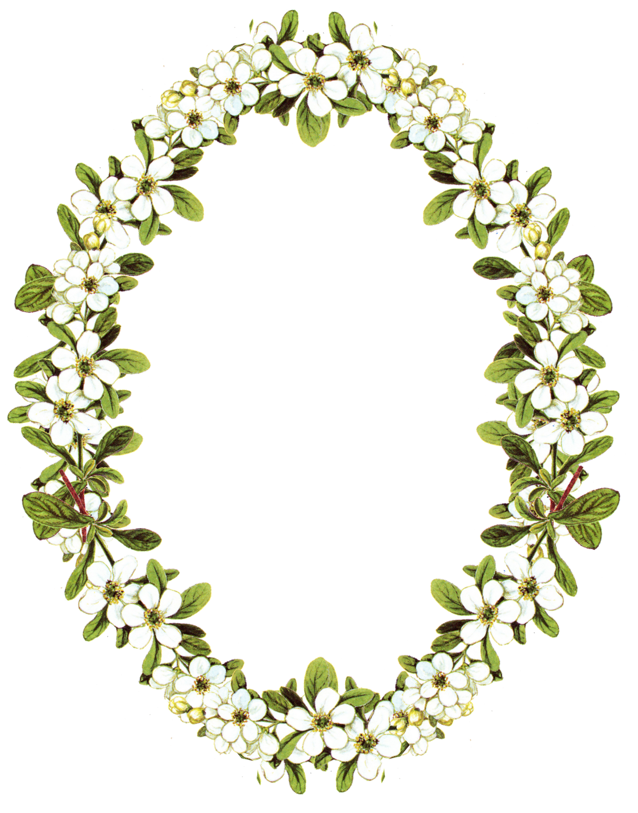 free clipart frames flowers - photo #34