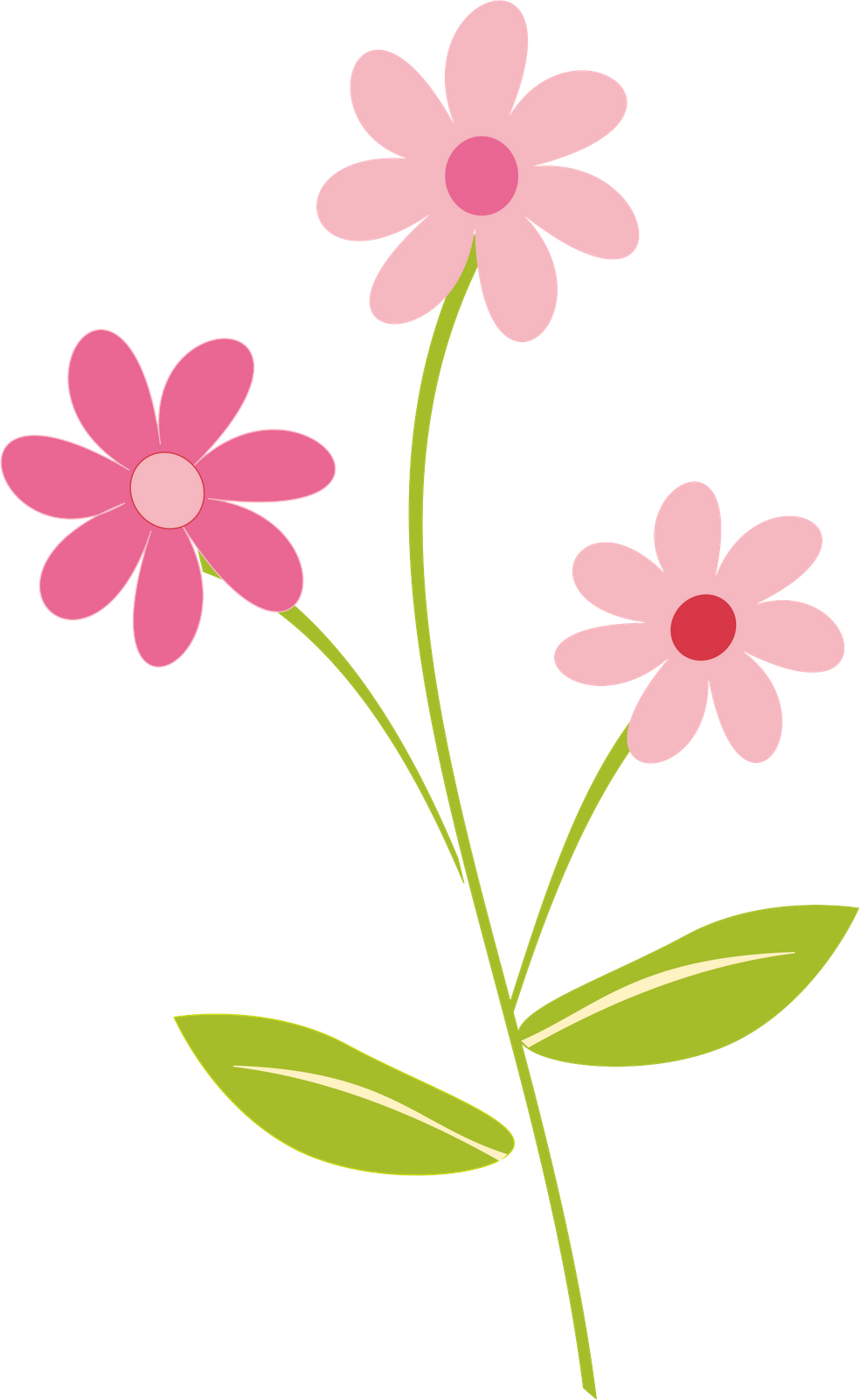 Flower clipart images png