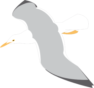 Seagull clip art - vector clip art online, royalty free & public ...