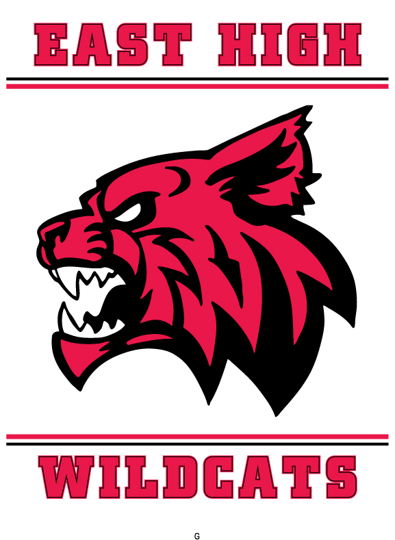 HSM Banner WILDCATS with Logo