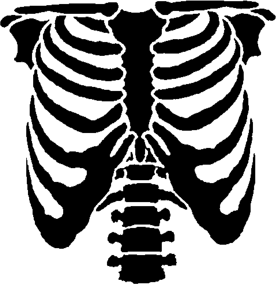clipart human skeleton outline - photo #31