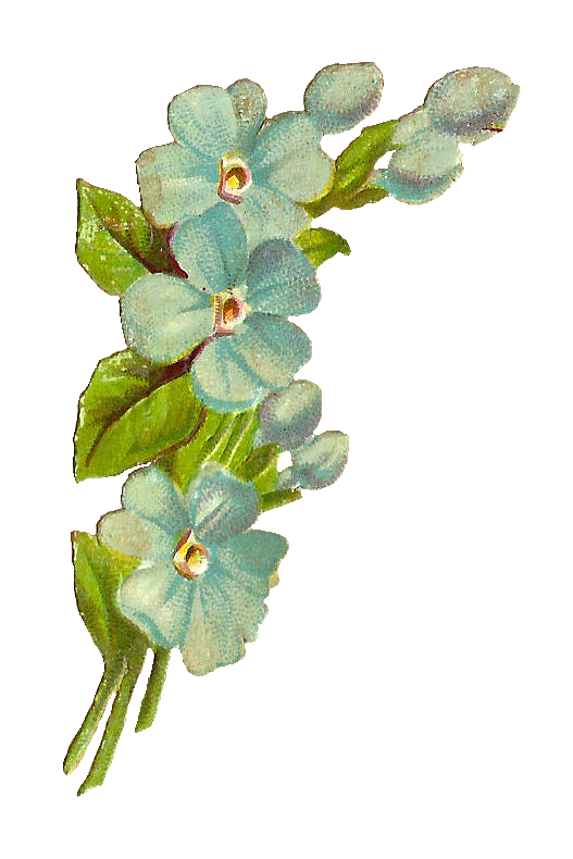 Antique Images: Free Digital Scrap Flowers: Blue Flower Digital ...