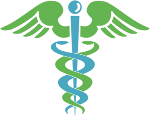 Healthcare Logo Snake