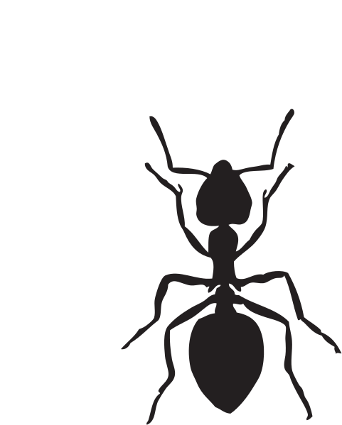 Ant clipart image cartoon ant clipart clipart image #6308 - ClipArt Best -  ClipArt Best