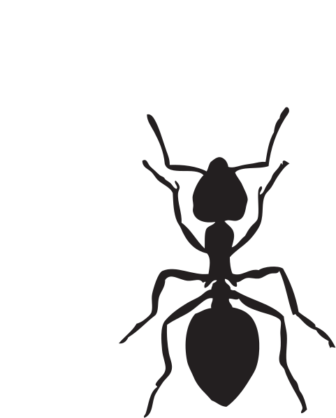 Ant clipart image cartoon ant clipart clipart image #6308 - ClipArt Best - ClipArt Best Ant clipart image cartoon ant clipart clipart image #6308 - ClipArt Best - ClipArt Best
