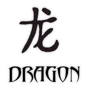 Tattoo of Chinese Letters Kanji Word Dragon - Polyvore