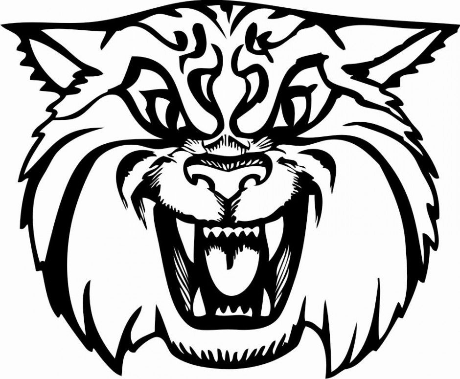 Wildcat Coloring Pages - AZ Coloring Pages