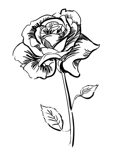 Learn to draw a rose | Just another WordPress.com site