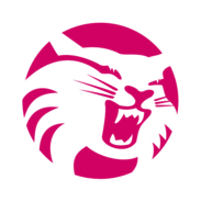 Kentucky Wildcat Logo - Download 47 Logos (Page 1)