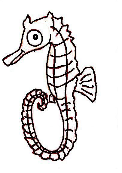 Drawings Of Seahorses - ClipArt Best