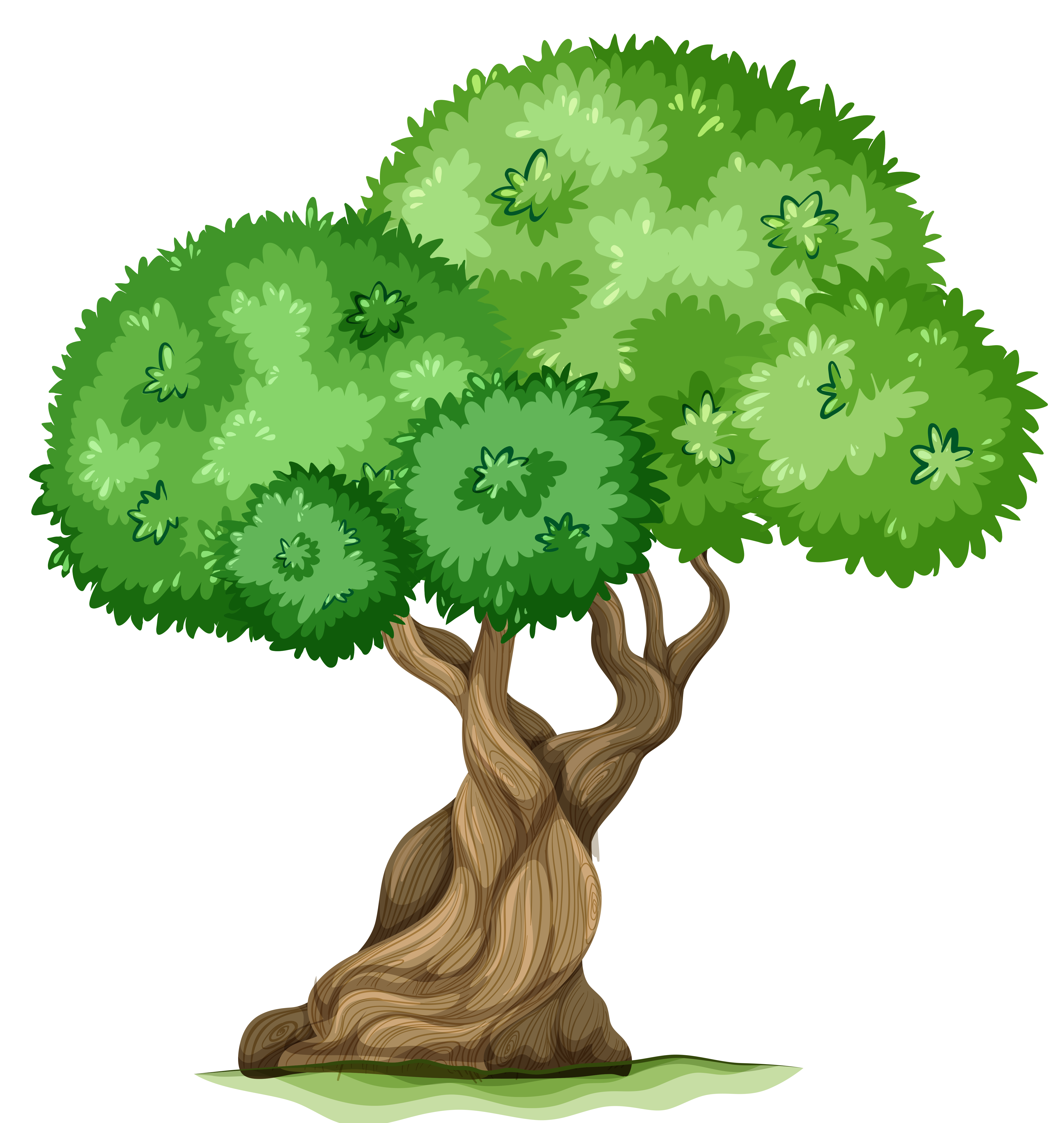 Tree PNG Clipart Picture