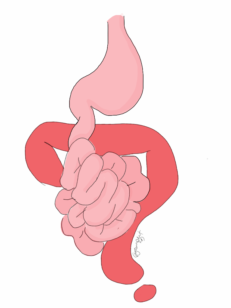 Pediatric Surgery Zone: What is the normal length of small bowel ...