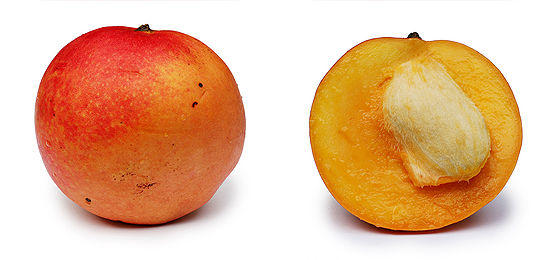 Wikipedia:Featured picture candidates/File:Apple mango and cross ...