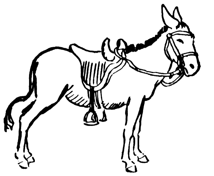 free clipart donkey - photo #48