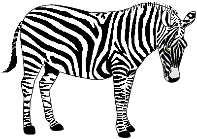 Zebra Clip Art - Free Clipart Images
