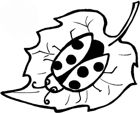 Ladybird On a Leaf coloring page | Free Printable Coloring Pages