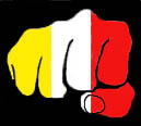 Fist-logo.png