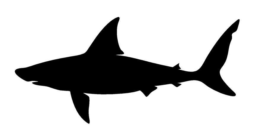 Shark Silhouette 4 Decal Sticker