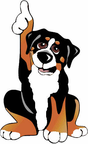 â?· Bernese Mountain Dogs: Animated Images, Gifs, Pictures ...