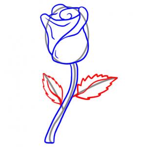 How to Draw a Rose, Step by Step, Flowers, Pop Culture, FREE ...