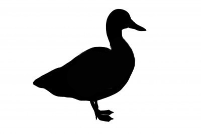 duck-silhouette-isolated-on-white | Parliament of Birds