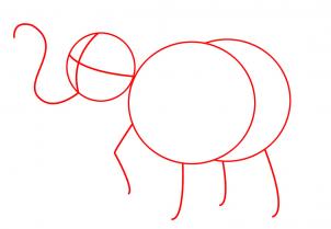 How to Draw an Easy Elephant, Step by Step, safari animals ...