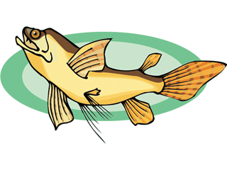 Fish graphics others 180894 Fish Graphic Gif