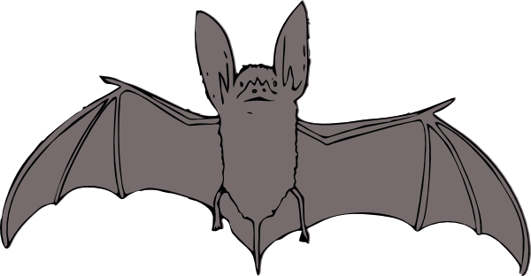 Bat SVG Downloads - Animal - Download vector clip art online